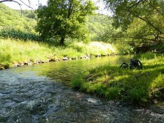 Trout Stream Wallpaper Not A Lot Of Today