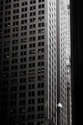Jelle Van Leest Photo Community