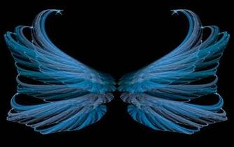 Abstract Black Blue Wings Desktop Wallpaper Hq Photo