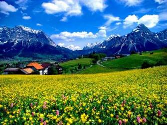 Countryside Splendor Wallpaper