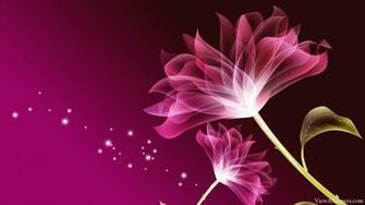 3d Pink Beautiful Flower Wallpaper Abstract HD