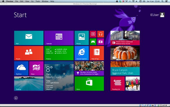 Windows Default Desktop