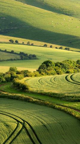 Beautiful Green Natural Scenery iPhone Wallpaper