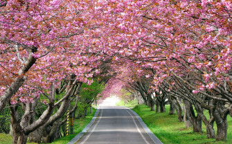 Nature Scenes Desktop Wallpaper