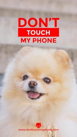 Cute Don T Touch My Phone Dog Wallpaper Dont