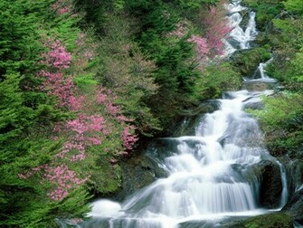Wallpaper Provider Waterfall Set