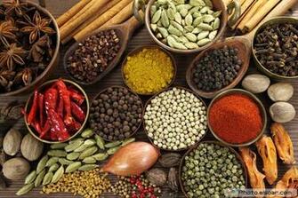 Traditional Indian Foods In Pictures Elsoar