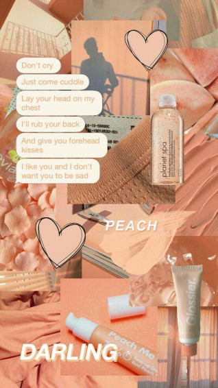 Vintage Peach Aesthetic Desktop Wallpaper