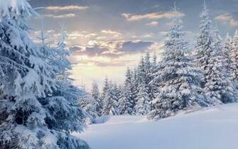 Make Snowflakes Live Wallpaper Android Res At Quality