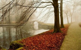 Best Desktop HD Wallpaper Autumn