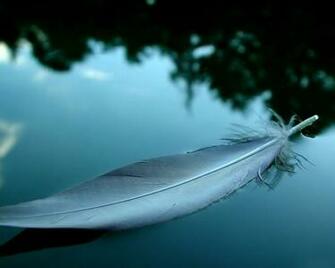Cool Desktop Background Takedesigns