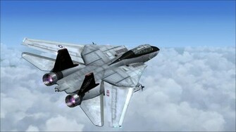 Tomcat HD Wallpaper Pictures