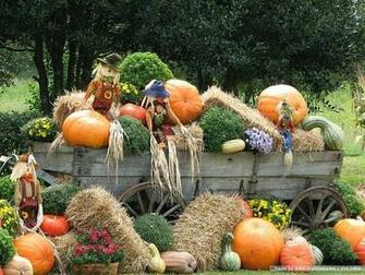 Wallpaper 0scarecrow 0011936936igyajz Fs 00scarecrow