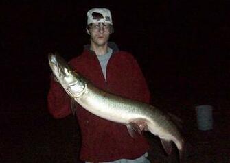 Muskies Desktop Background General Discussion Muskie Fishing