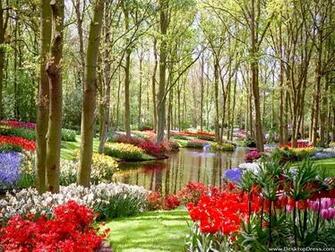 Desktop Wallpaper Natural Background Garden And Flowers