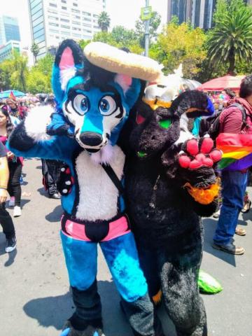 Dim Yan Diyan On In Anthro Furry Yiff