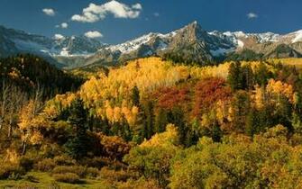 Forest Autumn Fall Sky Wallpaper