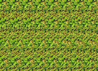 Stereogram Wallpaper