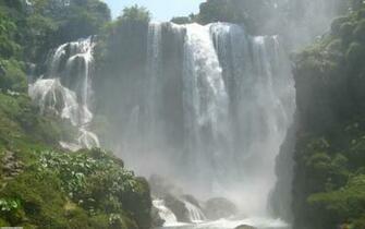 Rainforest Waterfall Wallpaper Phone At Landscape Monodomo