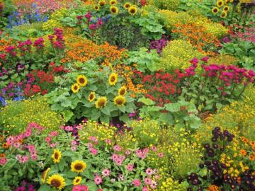 Flower Garden English Wallpaper On