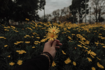 Sad Aesthetic Pictures Image