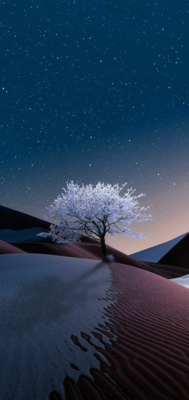 189f6851e5f68a938f48dded7b94df8f Wallpaper