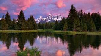 Lake Trees Forest Water HD Wallpaper Background For Computer