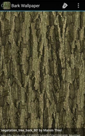 Amazon Bark Wallpaper Appstore For Android