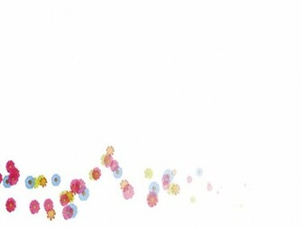 White Background Wallpaper