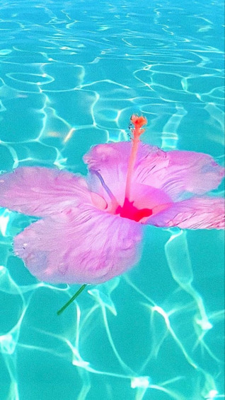 Summer Wallpaper Inspo iPhone