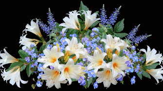 Desktop Wallpaper Bouquets Lilies Flower Black