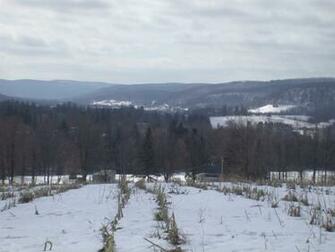 Computer Wallpaper Pictures Background Upstate New York Winter