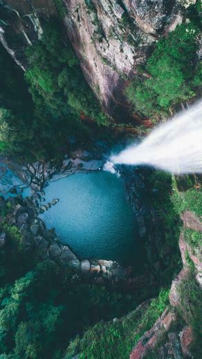 Stunning Rainforest Pictures HD Image On