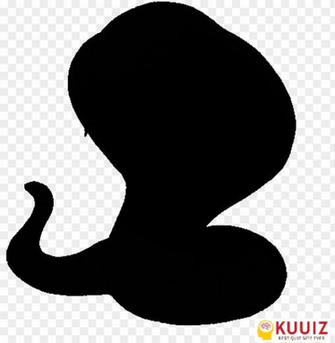 Who S That Pok Mon Ekanz Whos Pokemon Arbok Png Image With