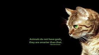 Text Cats Animals Quotes Simple Background Black