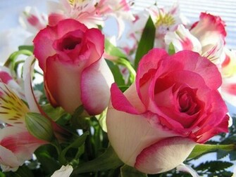 Flowers For Flower Lovers Desktop Wallpaper