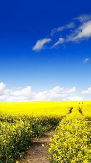 Cool Samsung Galaxy S5 Wallpaper