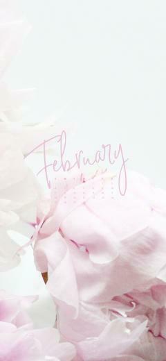 February Wallpaper Phone Tablet Desktop Ashlee Proffitt