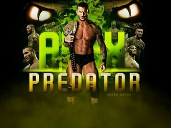 Randy Orton Wallpaper Viper