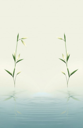 Feng Shui Wallpaper