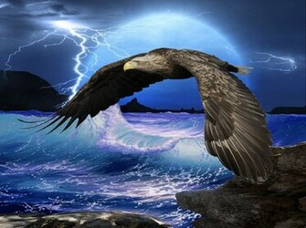 Eagle Computer Wallpaper Desktop Background Id