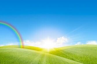 Agriculture Photograph Grassland In The Sunny Day With Rainbow By