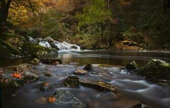 Wallpaper Autumn Forest River Stones England Devon