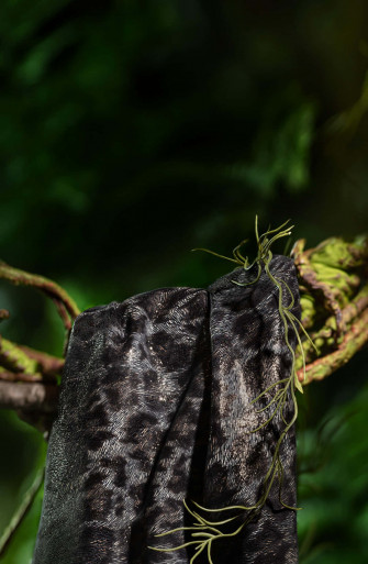 Black Leopard Wallpaper