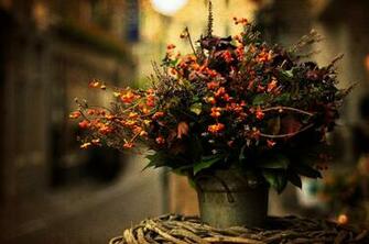 HD Wallpaper Flowers Bouquet Blur Leaves
