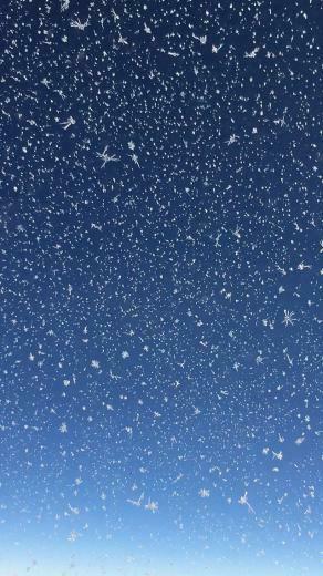 iPhone Wallpaper Frozen Snowflakes