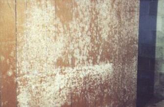Caltex Mold Remediation Services Sonshine Window Washing Company