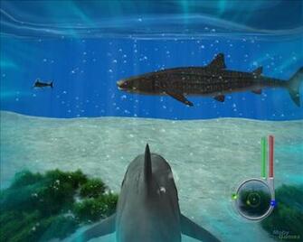 Jaws HD Wallpaper In Movies Imageci