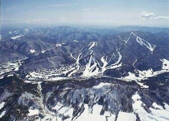 Olympics Features Pyeongchang Bid Reassures Their
