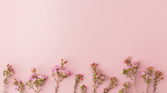 Top Rose Gold Aesthetic Wallpaper Full HD 4k To Use